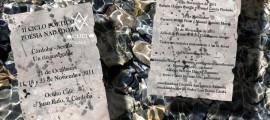II Ciclo poético Poesía Nadadora