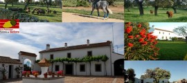 Cortijo Palomar de la Morra
